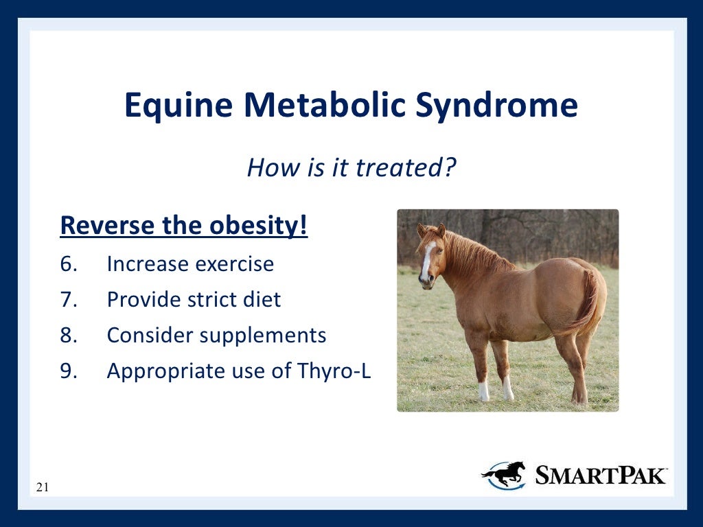Understanding Equine Metabolic Disorders inar