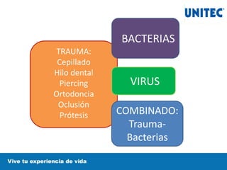TRAUMA:
Cepillado
Hilo dental
Piercing
Ortodoncia
Oclusión
Prótesis
BACTERIAS
VIRUS
COMBINADO:
Trauma-
Bacterias
 