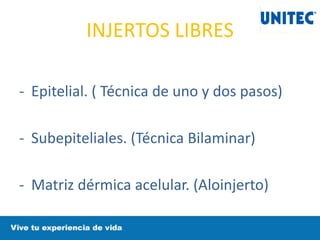 INJERTOS LIBRES
- Epitelial. ( Técnica de uno y dos pasos)
- Subepiteliales. (Técnica Bilaminar)
- Matriz dérmica acelular. (Aloinjerto)
 