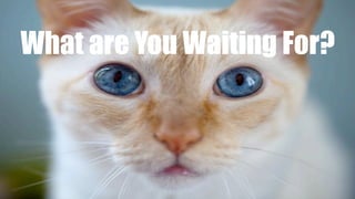 What are You Waiting For?
 
