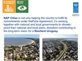 NAP Cities is not only helping the country to fulfill its
commitments under theParis Agreement, it’s working
together with national and local governments to climate-
proof their national and local plans, therefore contributing to
the long-term vision for a Resilient Uruguay.
 