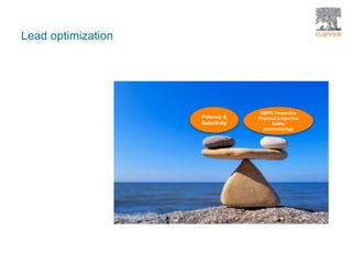 Potency &
Selectivity
DMPK Properties
Physical properties
Safety
pharmacology
Lead optimization
 