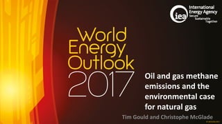 ©	OECD/IEA	2017	 ©	OECD/IEA	2017	
Oil	and	gas	methane	
emissions	and	the	
environmental	case	
for	natural	gas
Tim	Gould	and	Christophe	McGlade
 