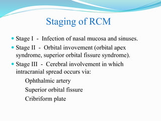 Staging of RCM
 Stage I - Infection of nasal mucosa and sinuses.
 Stage II - Orbital invovement (orbital apex
syndrome, superior orbital fissure syndrome).
 Stage III - Cerebral involvement in which
intracranial spread occurs via:
Ophthalmic artery
Superior orbital fissure
Cribriform plate
 