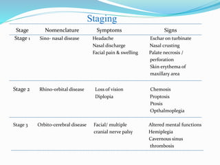 Stage Nomenclature Symptoms Signs
Stage 1 Sino- nasal disease Headache Eschar on turbinate
Nasal discharge Nasal crusting
Facial pain & swelling Palate necrosis /
perforation
Skin erythema of
maxillary area
Stage 2 Rhino-orbital disease Loss of vision Chemosis
Diplopia Proptosis
Ptosis
Opthalmoplegia
Stage 3 Orbito-cerebral disease Facial/ multiple Altered mental functions
cranial nerve palsy Hemiplegia
Cavernous sinus
thrombosis
Staging
 