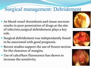 Surgical management: Debridement
 As blood vessel thrombosis and tissue necrosis
results in poor penetration of drugs at the site
of infection,surgical debridement plays a key
role.
 Surgical debridement was independantly found
to be associated with good prognosis.
 Recent studies support the use of frozen section
for the clearance of margins.
 Use of calcofluor fluroscence has shown to
increase the sensitivity.
 