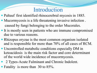Introduction
 Paltauf first identified rhinocerebral mycosis in 1885.
 Mucormycosis is a life threatening invasive infection .
caused by fungi belonging to the order Mucorales.
 It is mostly seen in patients who are immune compromised
due to various reasons.
 Rhizopus oryzae is the most common organism isolated
and is responsible for more than 70% of all cases of RCM.
 Uncontrolled metabolic conditions especially DM in
ketoacidosis is the main risk factor and core determinant
of the world wide incidence of mucormycosis.
 2 Types-Acute Fulminant and Chronic Indolent.
 Fatality is more than 30 to 85%.
 