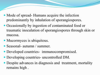  Mode of spread- Humans acquire the infection
predominantly by inhalation of sporangiospores.
 Occasionally by ingestion of contaminated food or
traumatic inoculation of sporangiospores through skin or
mucosa.
 Mucormyces is ubiquitous.
 Seasonal- autumn / summer.
 Developed countries- immunocompromised.
 Developing countries- uncontrolled DM.
 Despite advances in diagnosis and treatment, mortality
remains high .
 