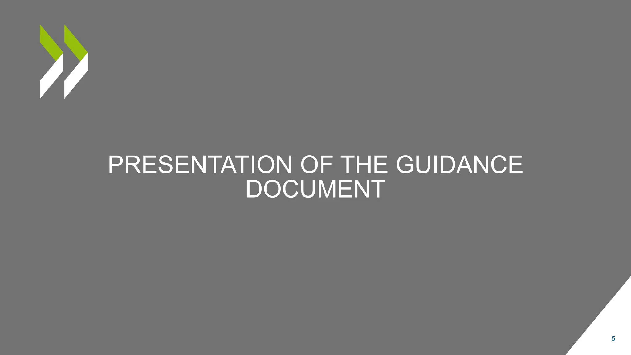 PRESENTATION OF THE GUIDANCE
DOCUMENT
5
 