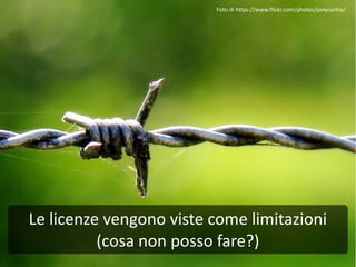 Le licenze vengono viste come limitazioni
(cosa non posso fare?)
Foto di https://www.flickr.com/photos/jonycunha/
 