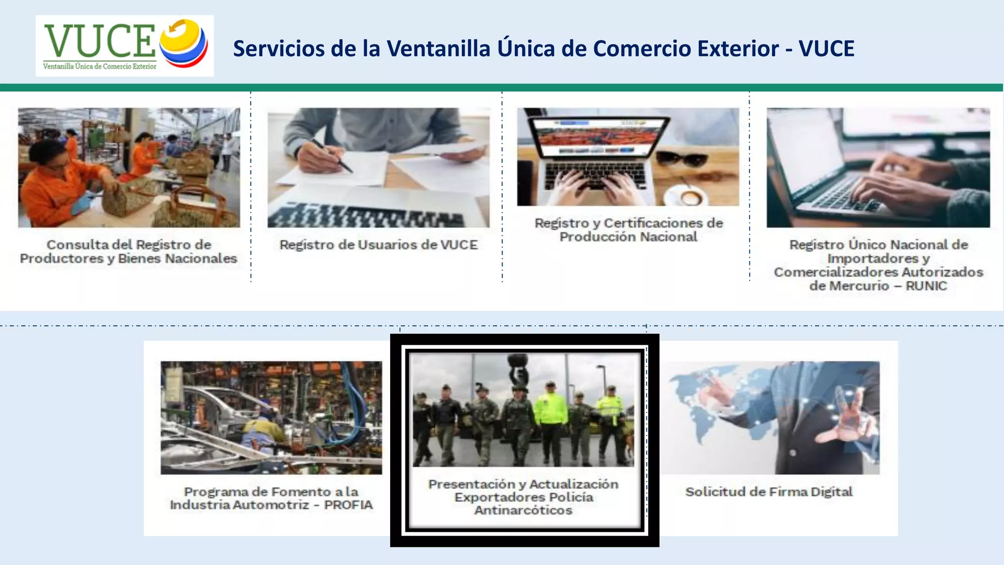 Slide 8