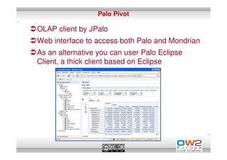 Palo Pivot

OLAP client by JPalo
Web interface to access both Palo and Mondrian
As an alternative you can user Palo Eclipse
Client, a thick client based on Eclipse
 