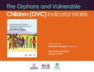 The Orphans and Vulnerable Children (OVC) Indicator Matrix 