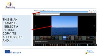 THIS IS AN
EXAMPLE.
I SELECT A
PICTURE
COPY ITS
ADDRESS-URL
AND…
 