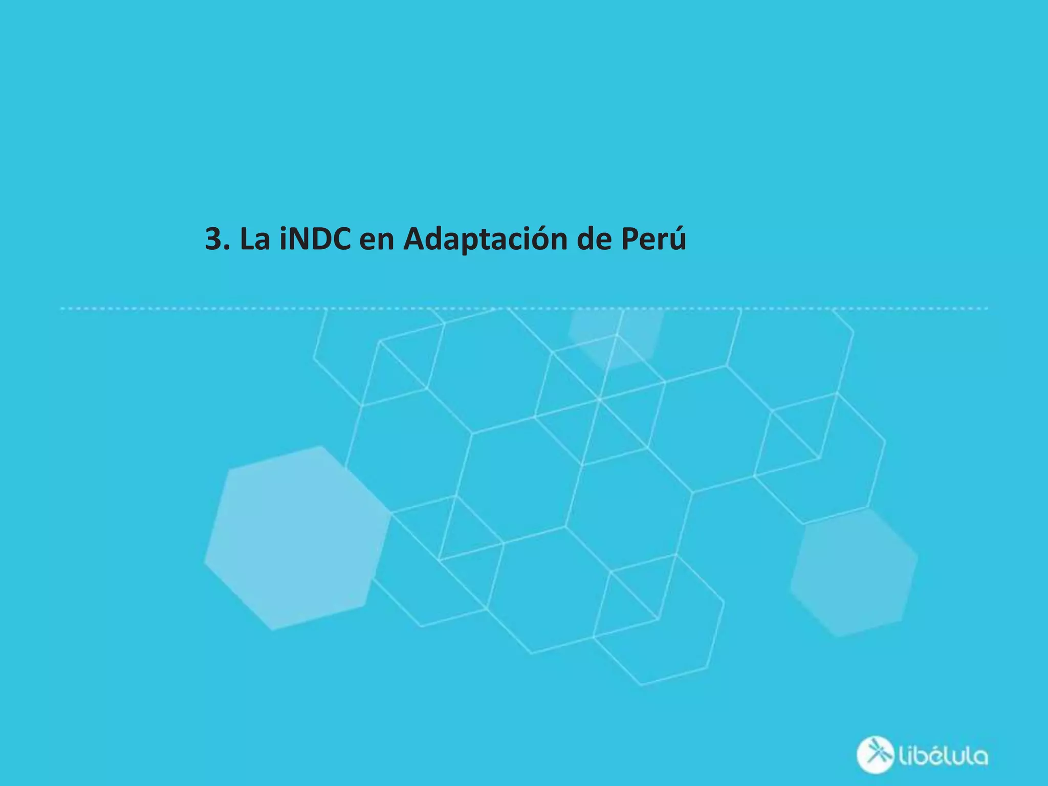 Slide 15