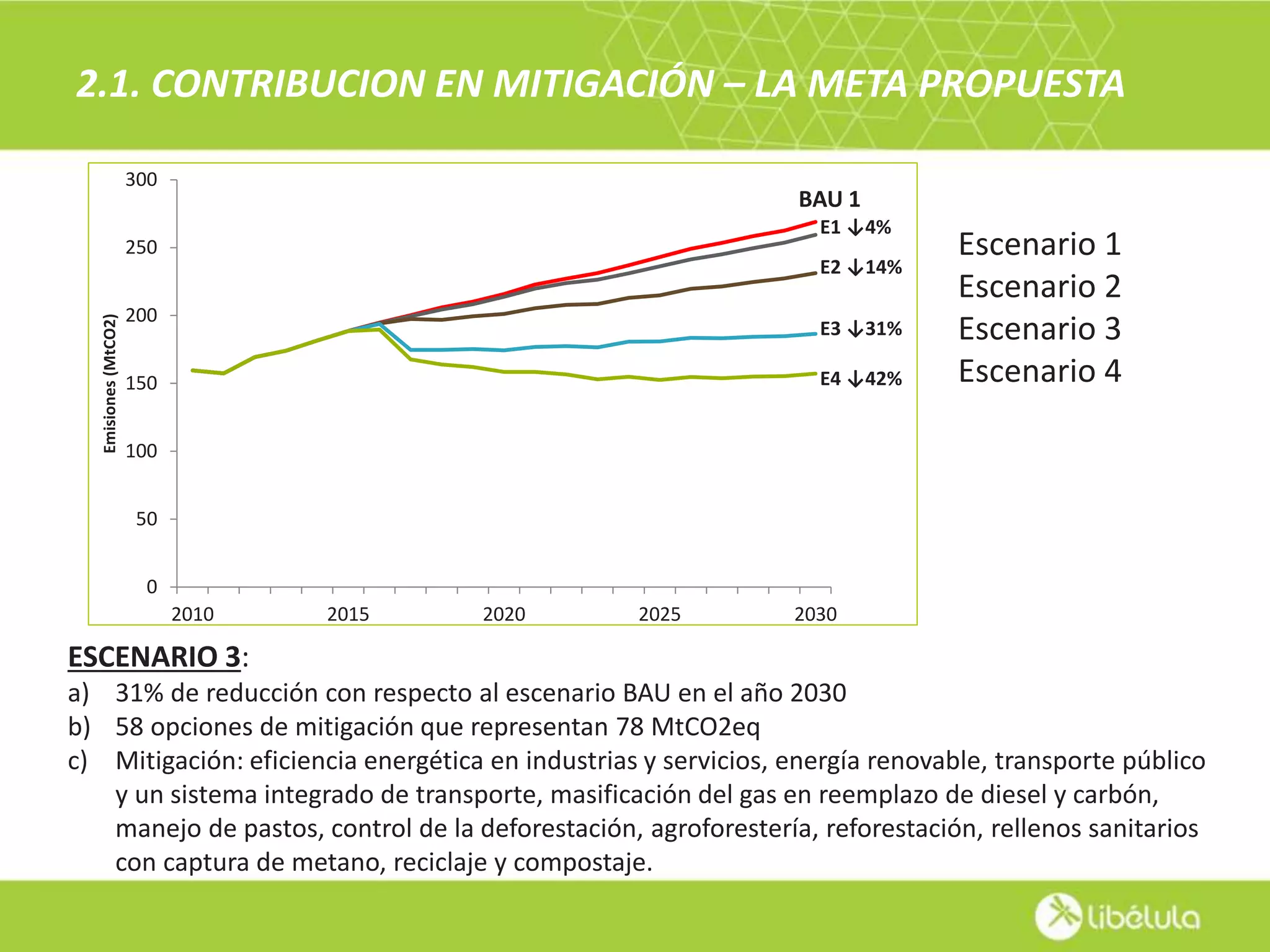 Slide 7
