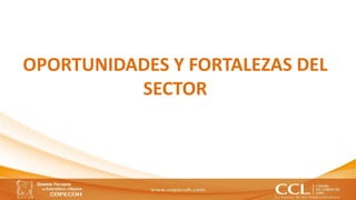 OPORTUNIDADES Y FORTALEZAS DEL
SECTOR
2
 
