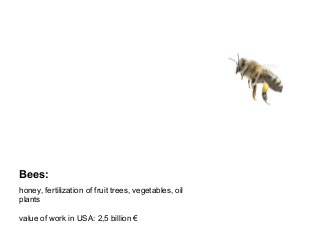 Bees:
honey, fertilization of fruit trees, vegetables, oil
plants
value of work in USA: 2,5 billion €
 