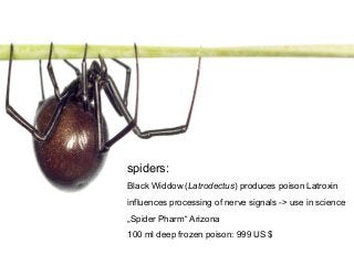 spiders:
Black Widdow (Latrodectus) produces poison Latroxin
influences processing of nerve signals -> use in science
„Spider Pharm“ Arizona
100 ml deep frozen poison: 999 US $
 