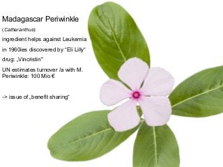 Madagascar Periwinkle
(Catharanthus):
ingredient helps against Leukemia
in 1960ies discovered by “Eli Lilly“
drug: „Vincristin"
UN estimates turnover /a with M.
Periwinkle: 100 Mio €
-> issue of „benefit sharing“
 