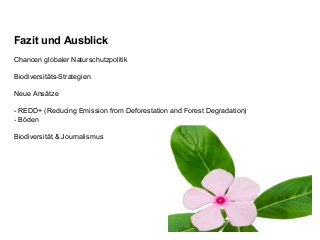 Fazit und Ausblick
Chancen globaler Naturschutzpolitik
Biodiversitäts-Strategien
Neue Ansätze
- REDD+ (Reducing Emission from Deforestation and Forest Degradation)
- Böden
Biodiversität & Journalismus
 