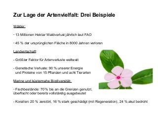 Zur Lage der Artenvielfalt: Drei Beispiele
Wälder:
- 13 Millionen Hektar Waldverlust jährlich laut FAO
- 45 % der ursprünglichen Fläche in 8000 Jahren verloren
Landwirtschaft:
- Größter Faktor für Artenverluste weltweit
- Genetische Verluste: 90 % unserer Energie
und Proteine von 15 Pflanzen und acht Tierarten
Marine und küstennahe Biodiversität:
- Fischbestände: 70 % bis an die Grenzen genutzt,
überfischt oder bereits vollständig ausgebeutet
- Korallen: 20 % zerstört, 16 % stark geschädigt (mit Regeneration), 24 % akut bedroht
 