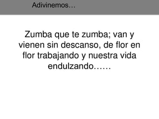 Posgrado en Marketing Digital y Redes Sociales 
© inesdi 2013 - © Oscar García 
* 
 