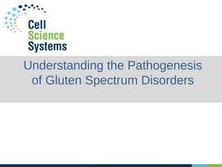 Understanding the Pathogenesis
of Gluten Spectrum Disorders
 