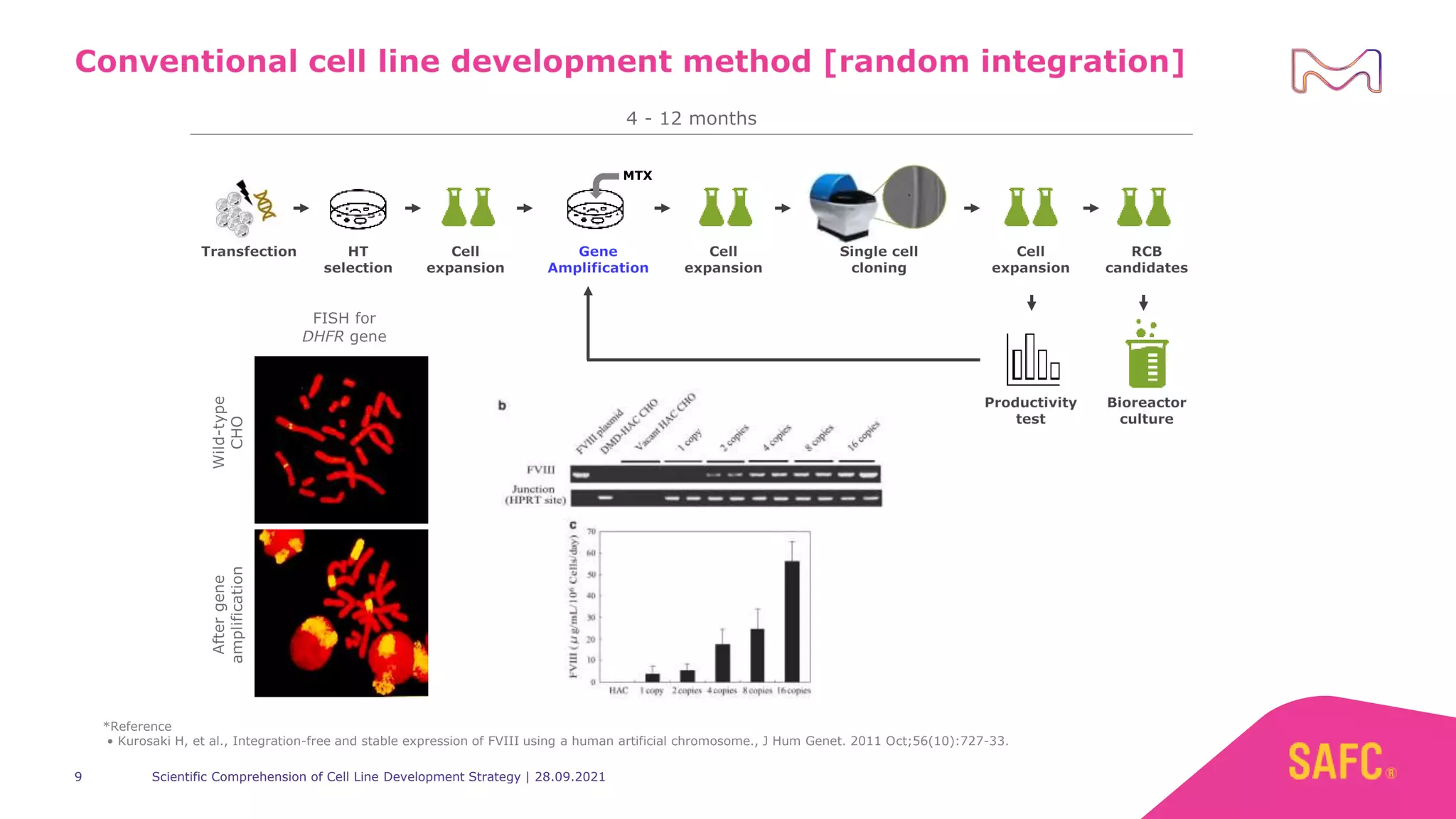 Scientific Comprehension of Cell Line Development Strategy Based on the ...