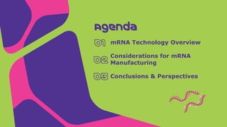 Unlocking the Potential of mRNA Vaccines and Therapeutics | PDF