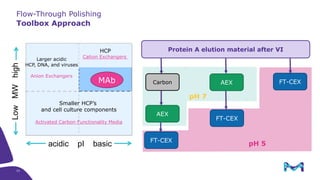 pH 5
Protein A elution material after VI
AEX FT-CEXCarbon
AEX
FT-CEX
FT-CEX
pH 7
MAb
acidic pI basic
LowMWhigh
Larger acidic
HCP, DNA, and viruses
Anion Exchangers
HCP
Cation Exchangers
Smaller HCP’s
and cell culture components
Activated Carbon Functionality Media
23
Toolbox Approach
Flow-Through Polishing
 