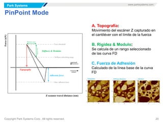 Park Systems www.parksystems.com
Copyright Park Systems Corp., All rights reserved. 20
PinPoint Mode
B. Rigidez & Modulo:
Se calcula de un rango seleccionado
de las curva FD
A. Topografía:
Movimiento del escáner Z capturado en
el cantiléver con el límite de la fuerza
C. Fuerza de Adhesión
Calculado de la línea base de la curva
FD
Force(nN)
Z scanner travel distance (nm)
approach
retract
Force threshold
Stiffness calculating range
Topography
Δdistance (nm)
Δforce(nN)
Stiffness & Modulus
Max. adhesion force
Adhesion force
 
