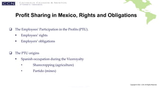 CCN-LAW.COM
Copyright © 2021, CCN, All Rights Reserved
Profit Sharing in Mexico, (cont’d)
 Mexican Federal Congress of 18...