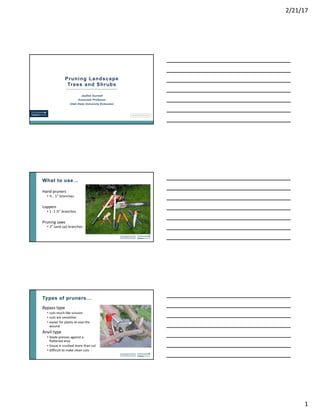 Pruning Trees and Shrubs | PDF