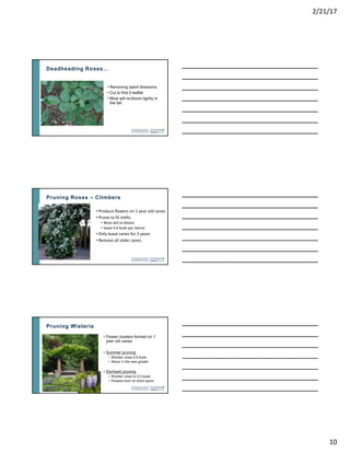 Pruning Trees and Shrubs | PDF