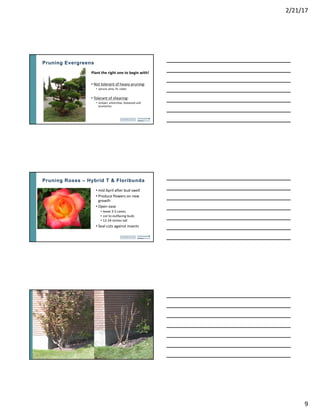 Pruning Trees and Shrubs | PDF