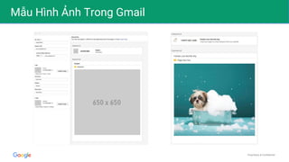 Proprietary & Confidential
Mẫu Hình Ảnh Trong Gmail
 
