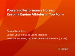Powering Performance Horses:
Keeping Equine Athletes in Top Form
Renaud Léguillette
Calgary Chair in Equine Sports Medicine
Associate Professor, Faculty of Veterinary Medicine (UCVM)
 