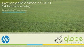 Gestión de la calidad en SAP II
SAP Performance Testing
David Cañadillas // Presales Manager
david.canadillas@globetesting.com
 