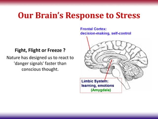 Our Brain’s Response to Stress


    Fight, Flight or Freeze ?
Nature has designed us to react to
   'danger signals' faster than
       conscious thought.
 