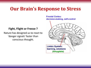 Our Brain’s Response to Stress


    Fight, Flight or Freeze ?
Nature has designed us to react to
   'danger signals' faster than
       conscious thought.
 