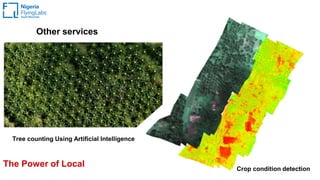 The Power of Local
Other services
Tree counting Using Artificial Intelligence
Crop condition detection
 