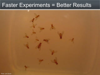 Faster Experiments = Better Results




Flickr: Jim Doran
 