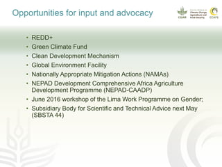 Opportunities for input and advocacy
• REDD+
• Green Climate Fund
• Clean Development Mechanism
• Global Environment Facility
• Nationally Appropriate Mitigation Actions (NAMAs)
• NEPAD Development Comprehensive Africa Agriculture
Development Programme (NEPAD-CAADP)
• June 2016 workshop of the Lima Work Programme on Gender;
• Subsidiary Body for Scientific and Technical Advice next May
(SBSTA 44)
 