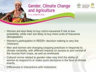 Gender and international climate policy