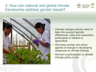 Gender and international climate policy