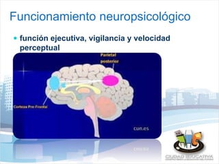 Funcionamiento neuropsicológico 
 función ejecutiva, vigilancia y velocidad 
perceptual 
 