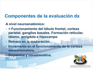 Componentes de la evaluación dx 
A nivel neuroanatómico: 
• < Funcionamiento del lóbulo frontal, corteza 
parietal, ganglios basales. Formación reticular, 
tálamo, amígdala e hipocampo 
• Retraso en la maduración. 
• Incremento en el funcionamiento de la corteza 
sensoriomotora. 
• Dopamina y noradrenalina. 
 