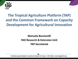 The Tropical Agriculture Platform (TAP)
and the Common Framework on Capacity
Development for Agricultural Innovation
Manuela Bucciarelli
FAO Research & Extension Unit
TAP Secretariat
 