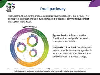 Dual pathway
System level: the focus is on the
functionalities and performance of
the system as a whole.
Innovation niche ...